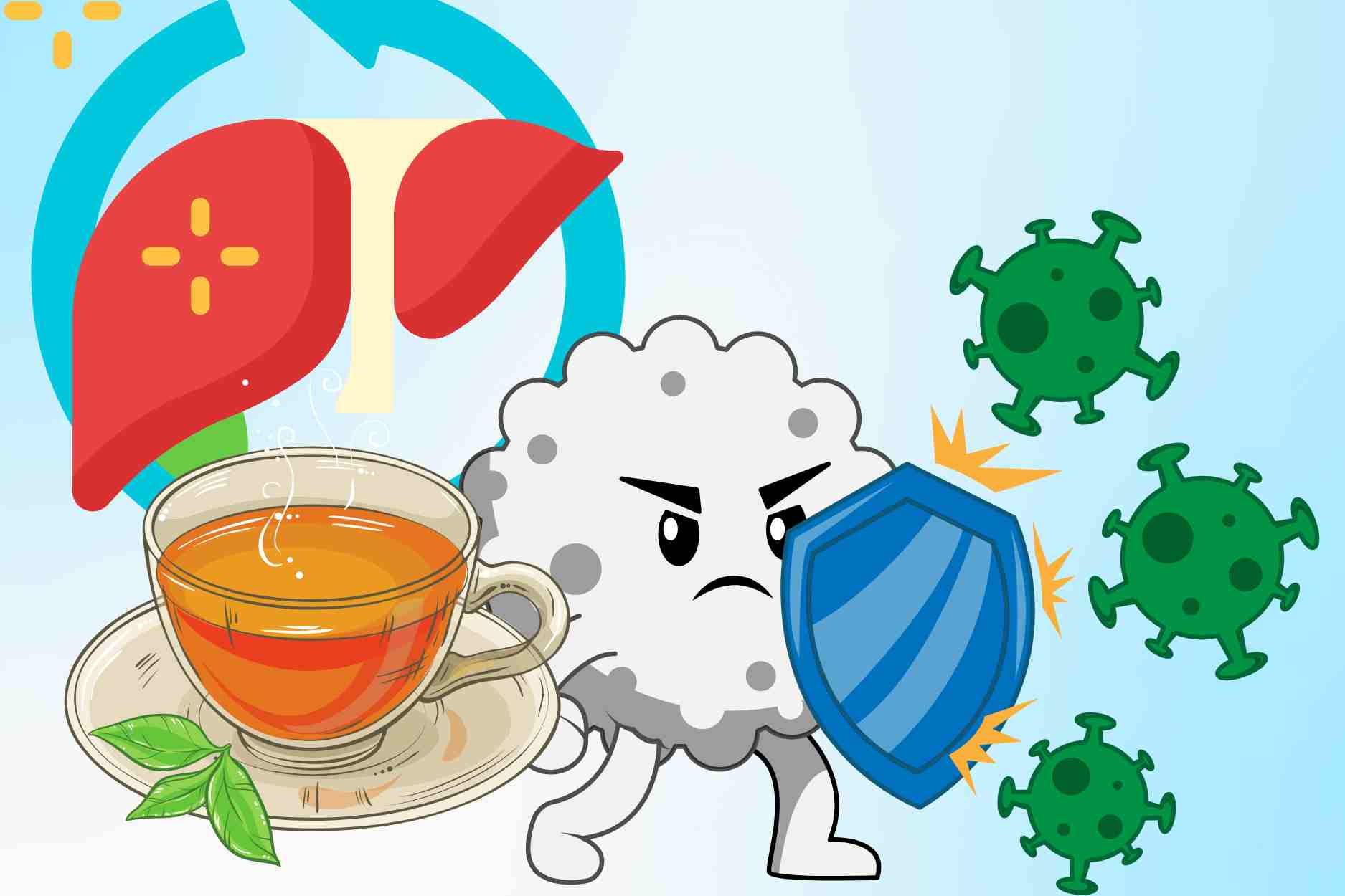Tea contains natural active ingredients that help prevent virus intrusion into the liver