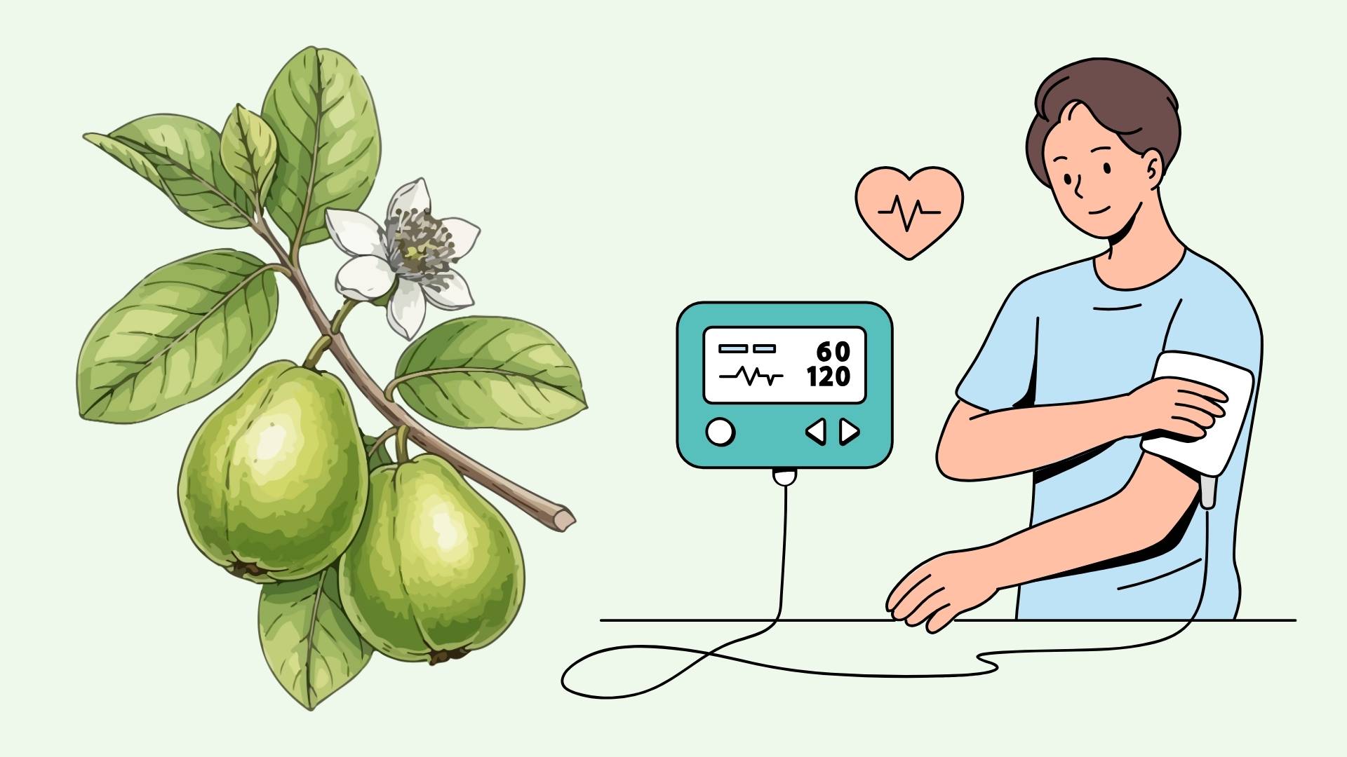 この葉汁のおかげで血圧が下がり、血中脂肪が減少します。グラフィック: リン・ダン