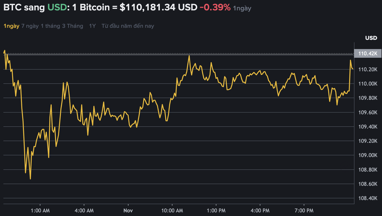Du lieu tren Binance - san giao dich tien ma hoa lon nhat the gioi cho thay mac du gia Bitcoin truot gia nhung van giao dich quanh vung 110.000 USD. Nguon: Binance.com