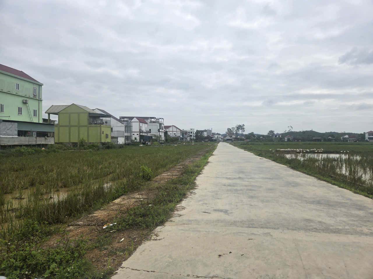 Do các thông tin liên quan quy hoạch các lô đất đấu giá không chính xác, người dân đề nghị UBND xã Bình Minh hủy kết quả đấu giá. Ảnh: Quang Đại