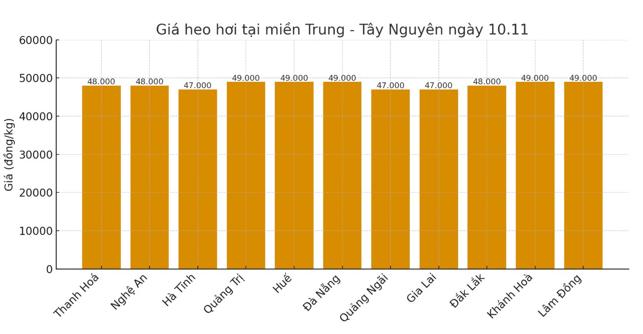Gia heo hoi hom nay 10.11 tai khu vuc mien Trung - Tay Nguyen. Do hoa: Thuy Linh