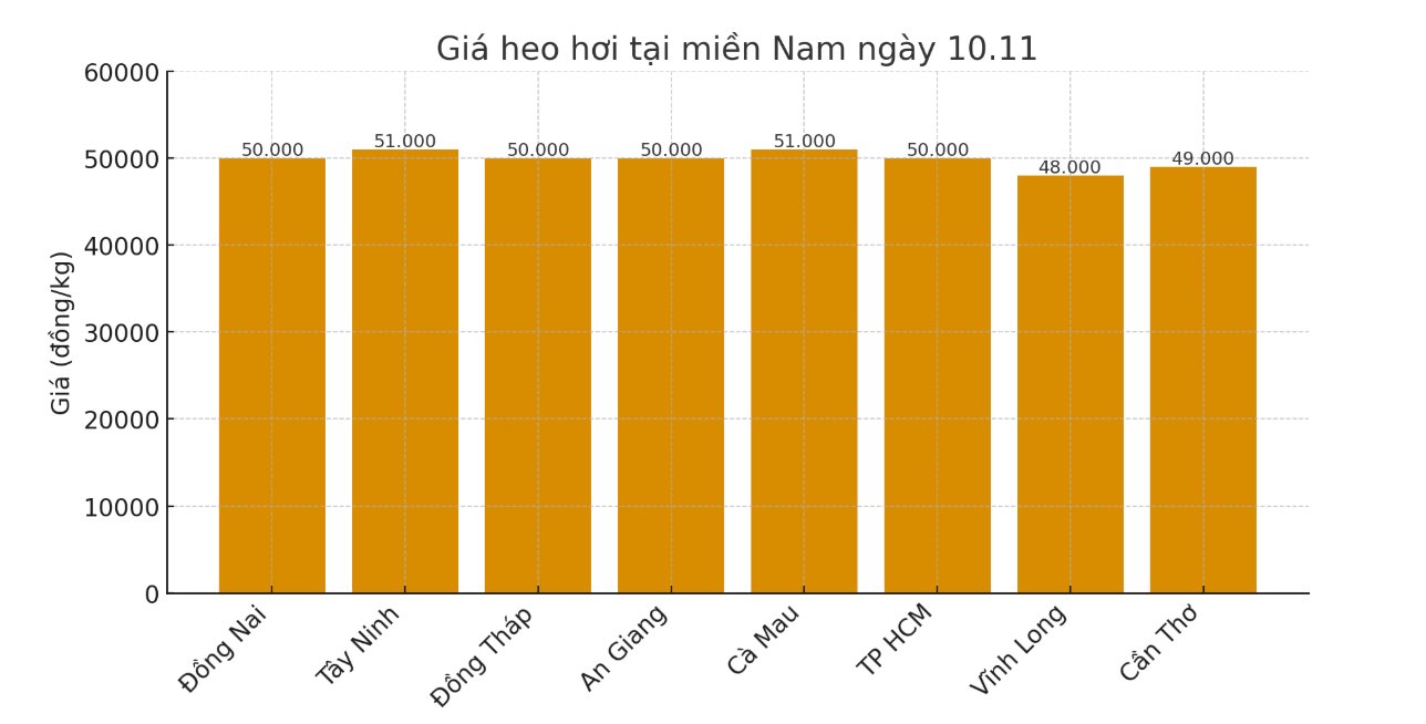 Gia heo hoi hom nay 10.11 tai khu vuc mien Nam. Do hoa: Thuy Linh