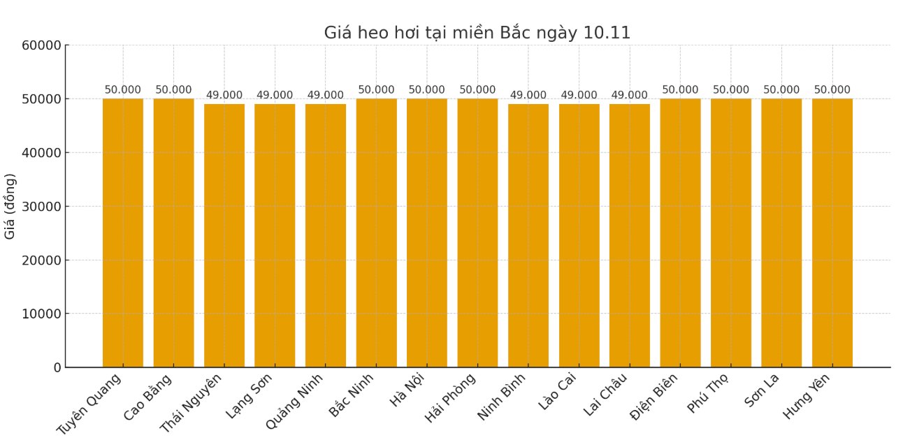 Gia heo hoi hom nay 10.11 tai khu vuc mien Bac. Do hoa: Thuy Linh