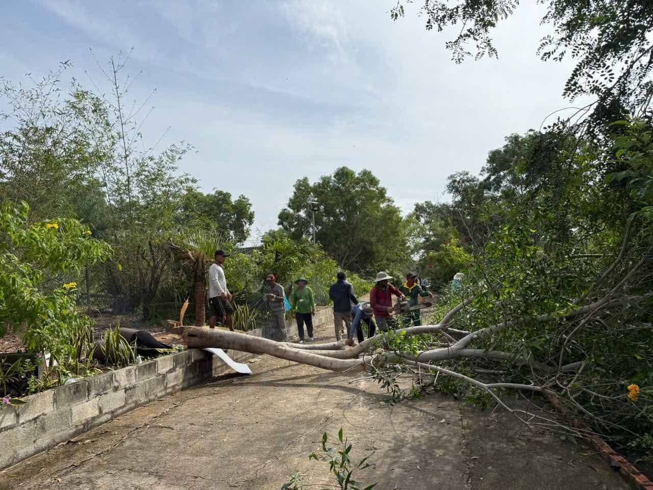 Nho bo cac cay trong tren dat chiem trai phep. Anh: Pham Duy 