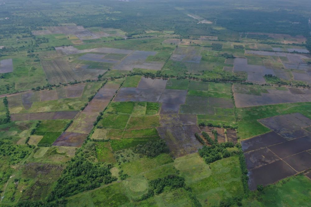 Toan canh khu dat quy hoach du an Berjaya tai xa Xuan Thoi Son, TPHCM hien van la bai dat trong, co moc um tum sau nhieu nam dinh tre. Ảnh: Anh Tu