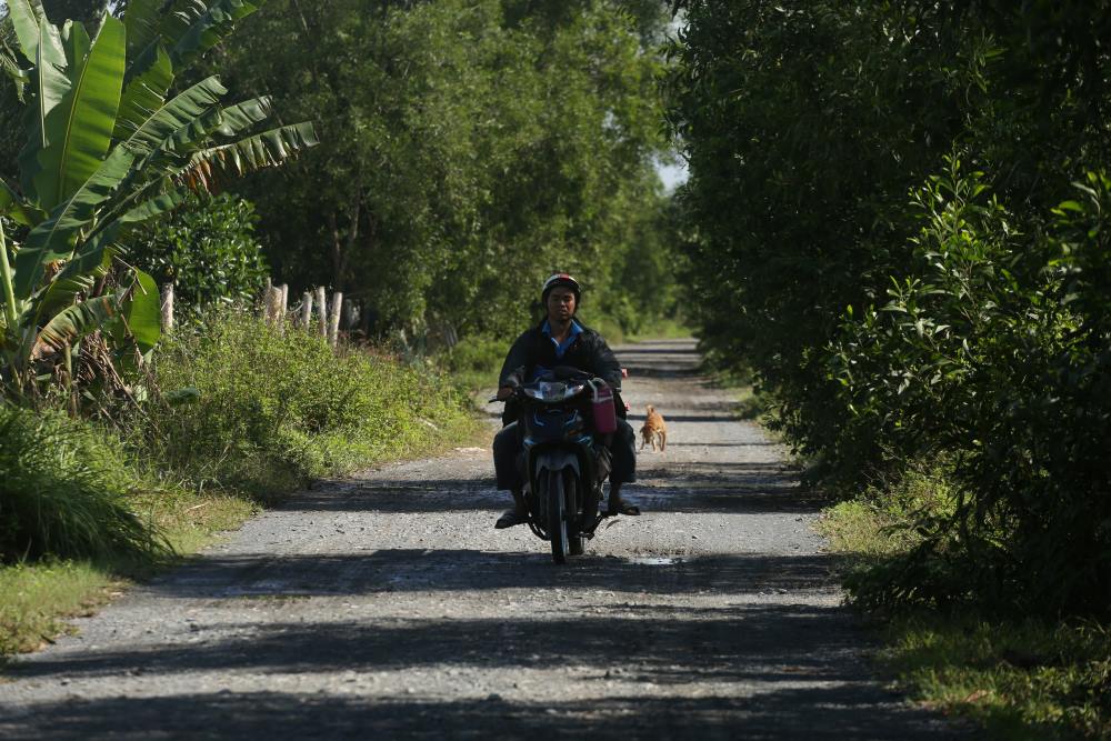 He thong duong sa noi bo cung xuong cap tram trong, xuat hien nhieu o ga, o voi.  