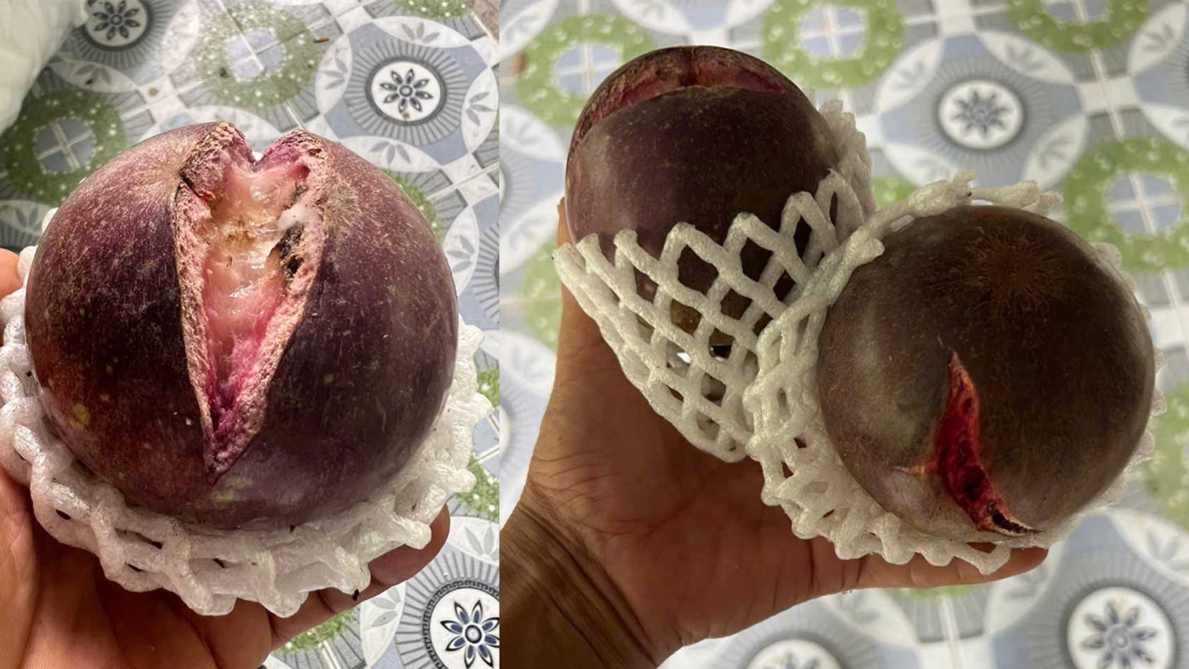 Vu sua bi nut do anh huong cua mua bao. Anh: HTX Nong nghiep Xom dong 2