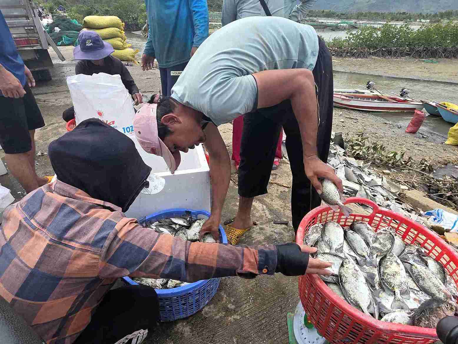 Nguoi dan vot ca len bo de ban thao sau khi bao tan. Anh: Binh Quy