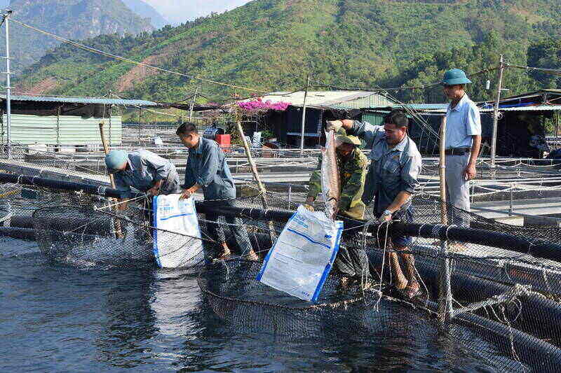 Khu vuc nuoi ca long tai ban La Muong, xa Muong La. Anh: Truong Son