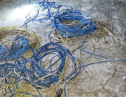 Tang vat do Dai trom cap