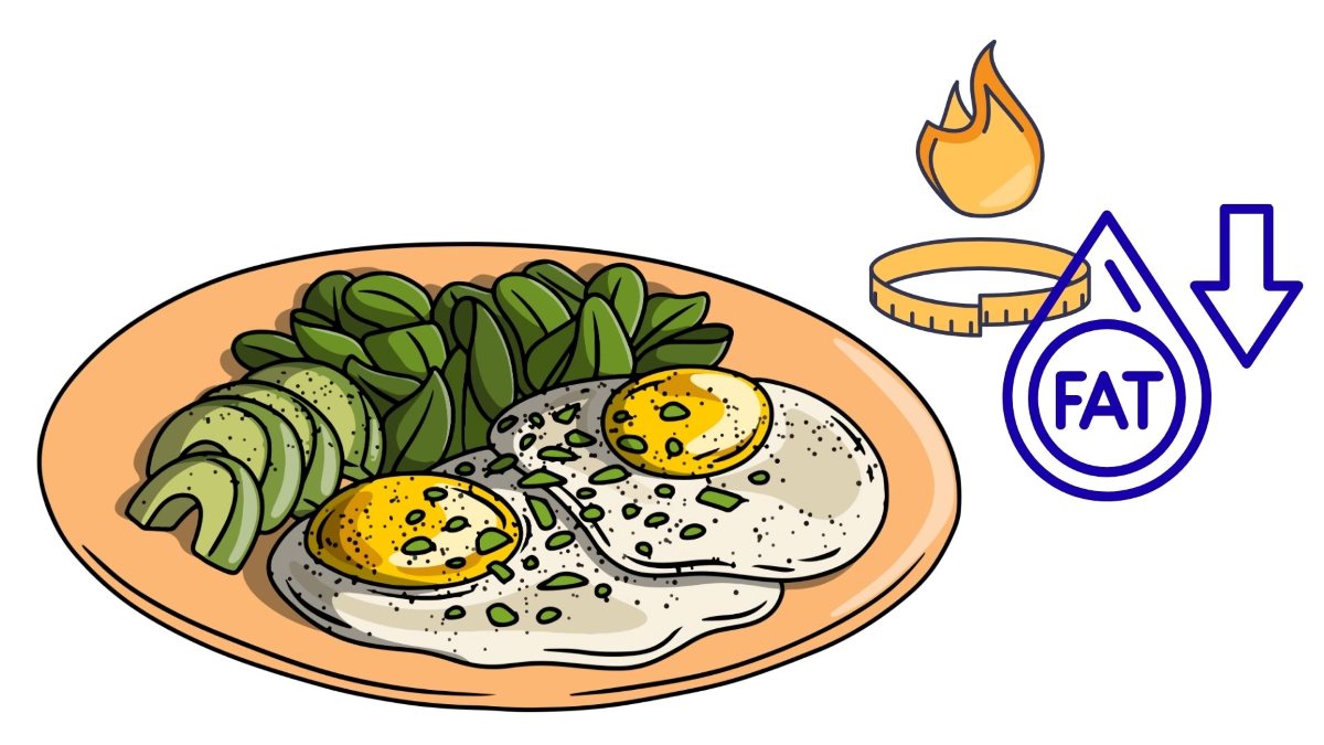 fried eggs with avocado and whole-wheat toast are a healthy breakfast that helps reduce belly fat. Graphics: Thanh Thanh