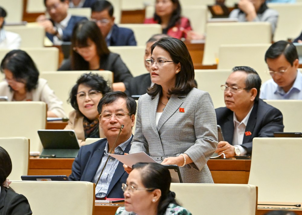National Assembly delegate Nguyen Hoang Bao Tran said that the violating enterprise in the civil case held software worth tens of billions of VND but was "difficult to recover". Photo: Pham Dong