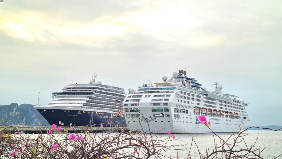 2 superyates internacionales atracan en el puerto internacional de pasajeros de Ha Long en la mañana del 11 de noviembre. Foto: Thuy Duong