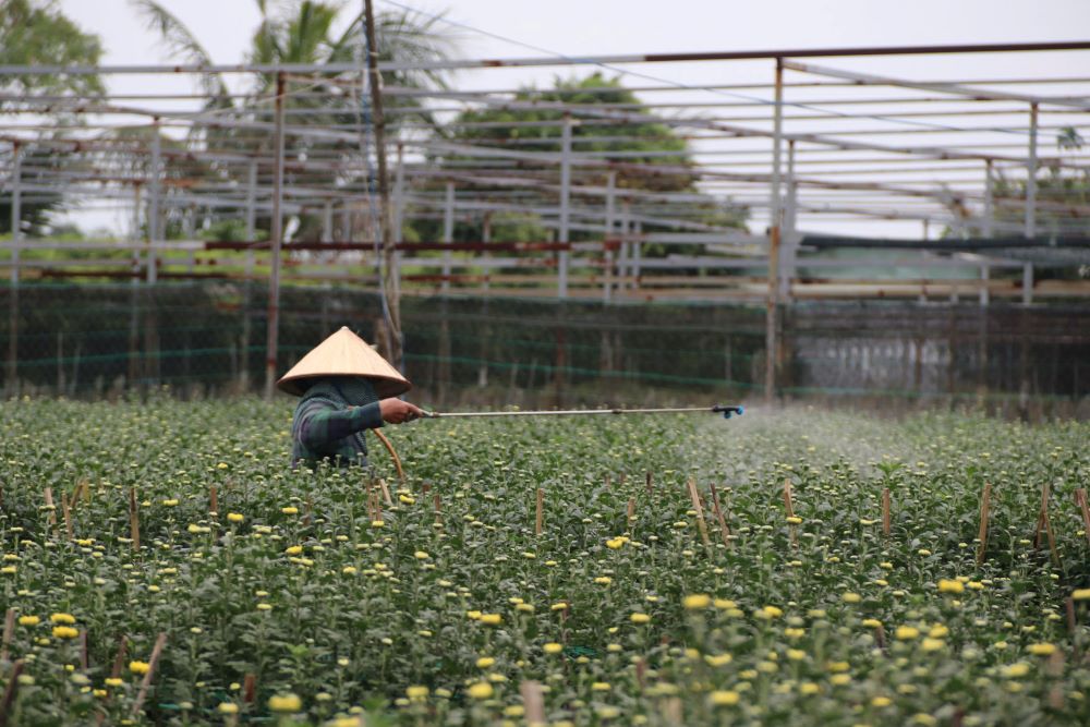 Da Nang bo sung 200 ti dong cho vay khoi phuc san xuat, ho tro viec lam sau thien tai. Anh: My Linh