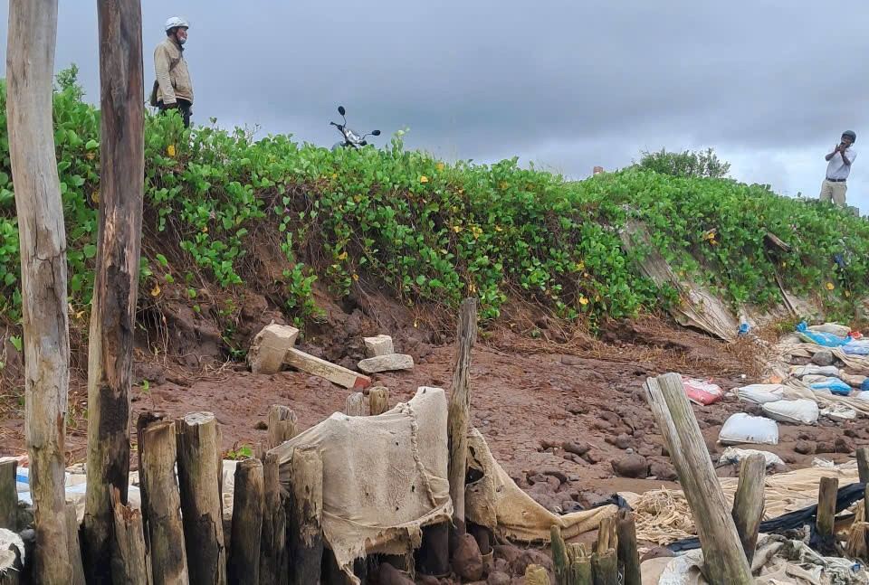 The protective forest belt is degraded, revealing the dyke body. Photo: Phuong Vinh