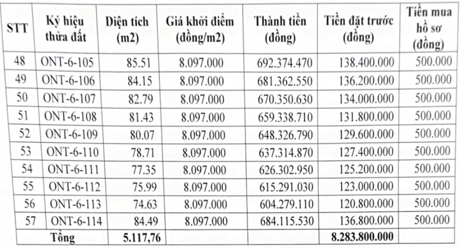 Thong tin phien dau gia 57 thua dat o khu vuc Dam thon Muc Xa, xa Dan Hoa. Anh: Cong ty Dau gia Hop danh Truong Son