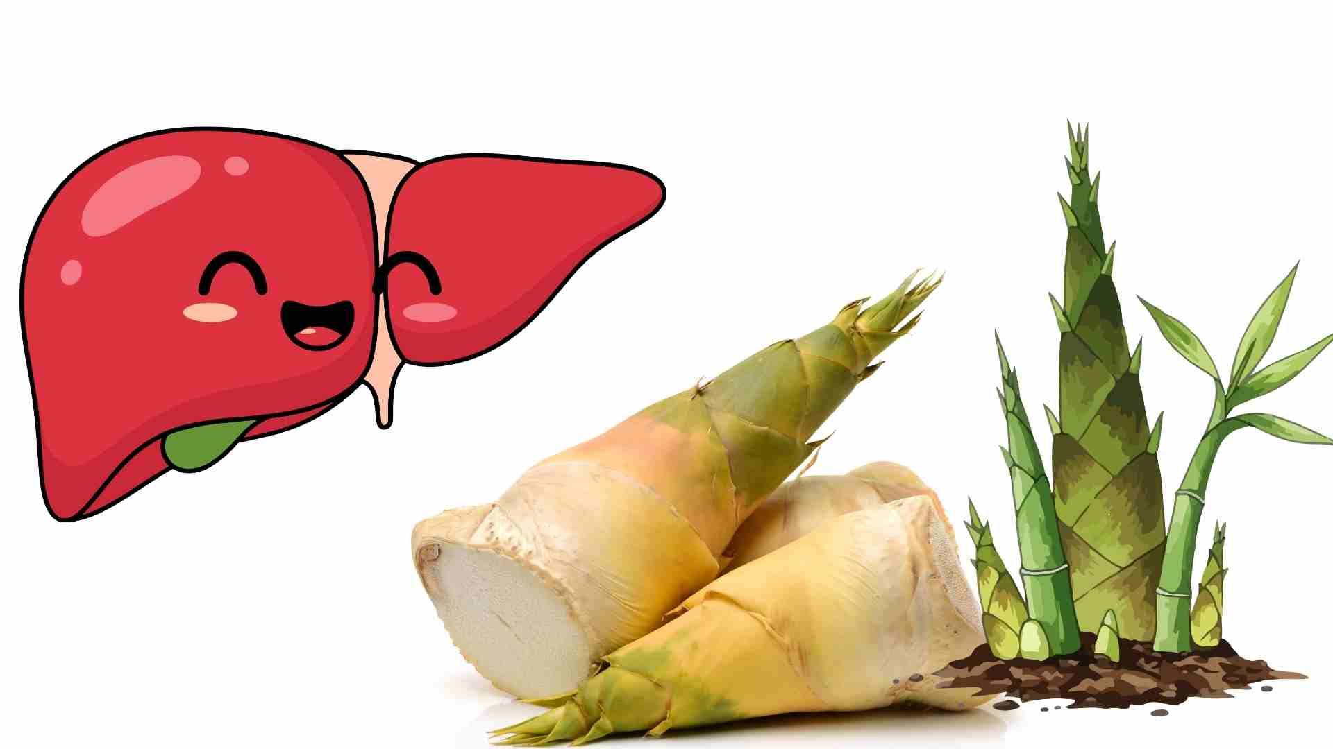 Healthy people eating bamboo shoots in moderation will be good for the liver. Graphics: Ha May