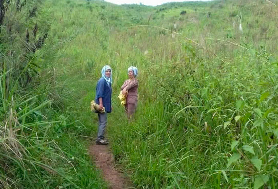 Nhung ngay dau, duong den diem truong con gian nan. Anh: Nhan vat cung cap