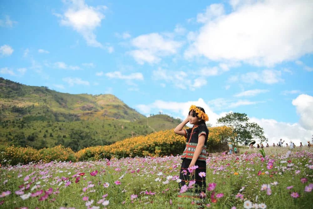 Gia Lai este pe cale să organizeze Festivalul Floare-soarelui sălbatică, Vulcanul Chu Dang Ya