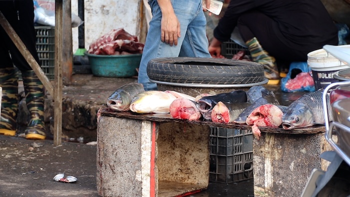 Alimentos vendidos en un mercado temporal en el distrito de Cau Giay. Foto: My Linh