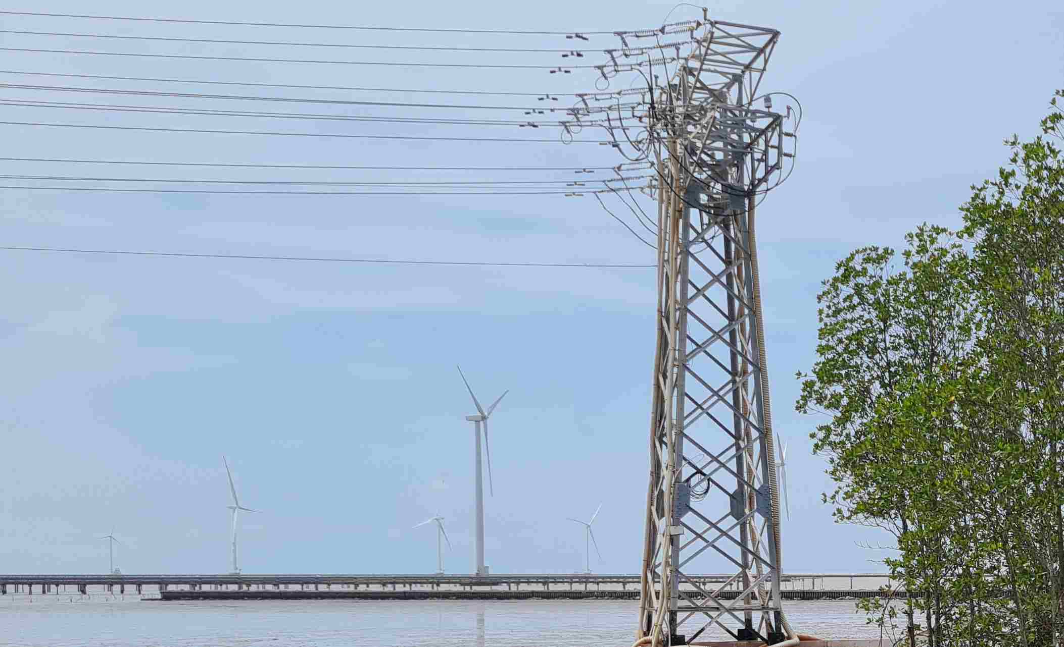 Co duong truyen tai dien 500kV LNG Bac Lieu - Thot Not cac du an dien gio bot noi lo cat dien. Anh: Nhat Ho