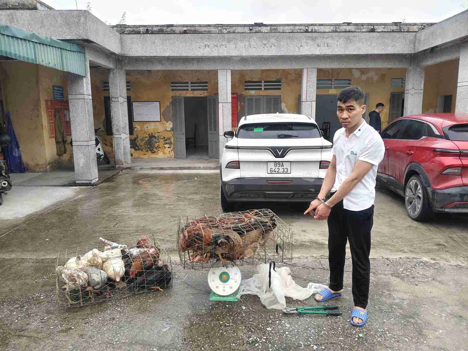 Bắt giữ đối tượng trộm gà, ngan liên tiếp tại nhiều hộ dân ở Hưng Yên