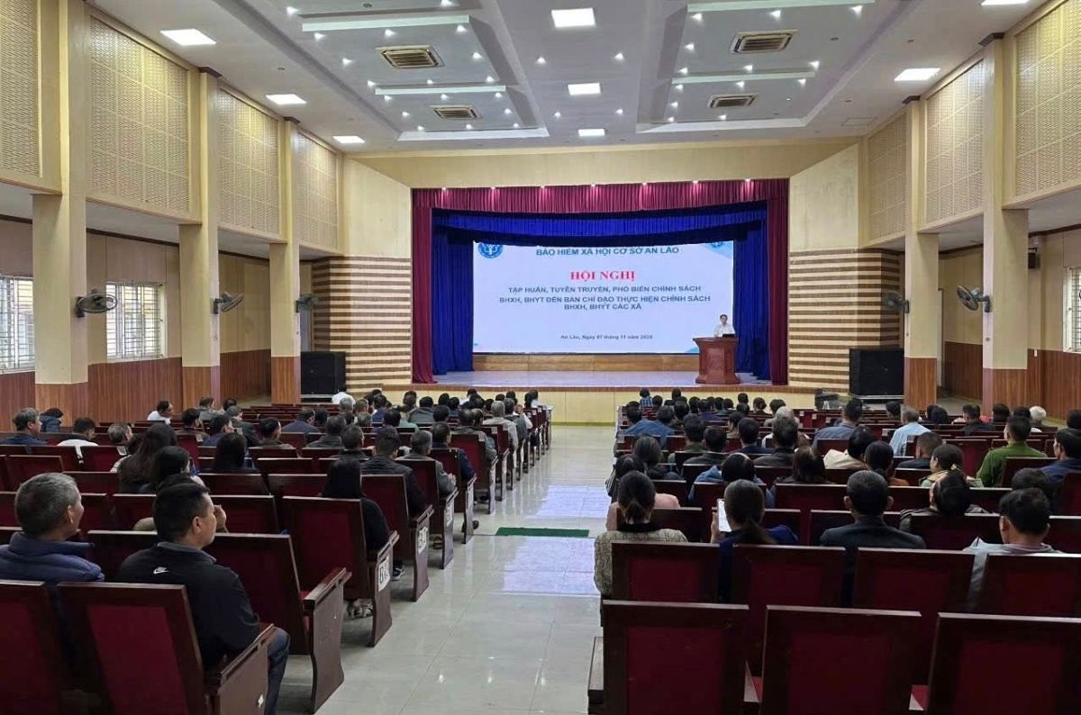 회의 전체 모습. 사진: 하이퐁시 BHXH