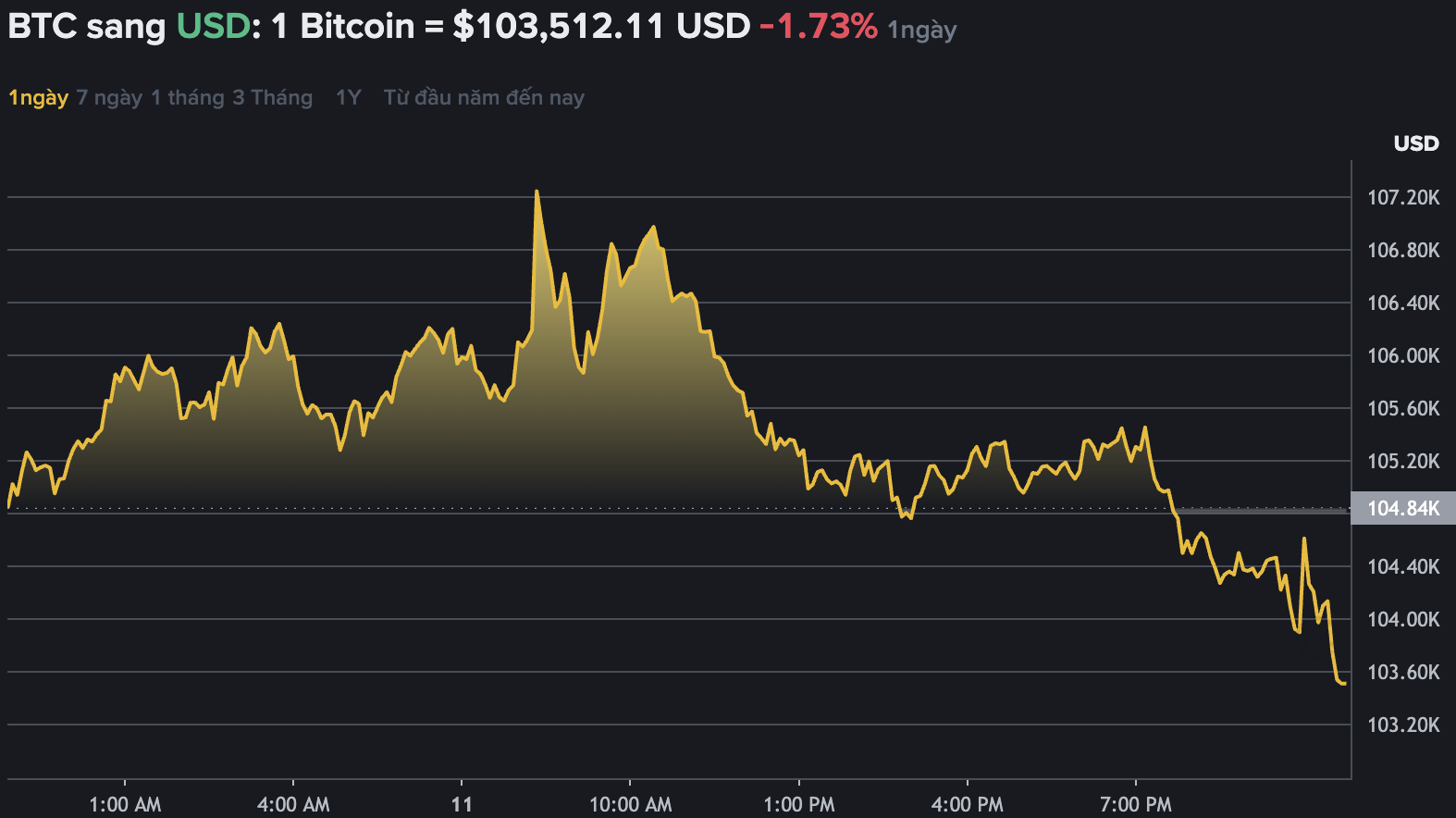 Du lieu tren Binance - san giao dich tien ma hoa lon nhat the gioi cho thay Bitcoin khong ngung bien dong, dat moc 103.000 USD. Nguon: Binance.com 