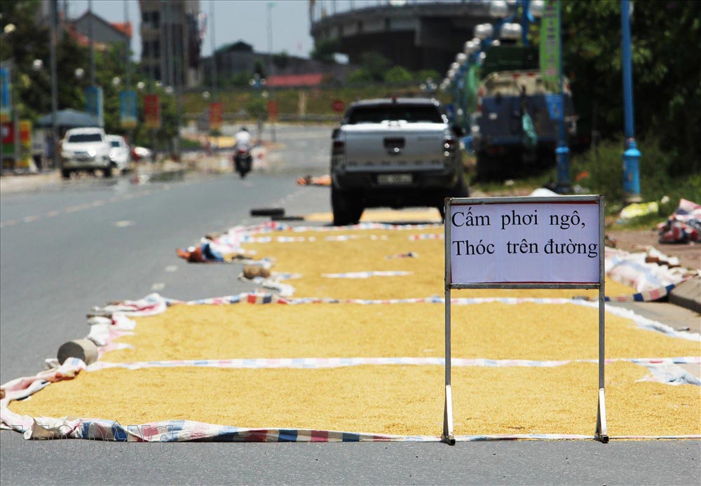 Turning the road surface into an agricultural drying yard poses many potential risks to traffic safety. Photo: To The