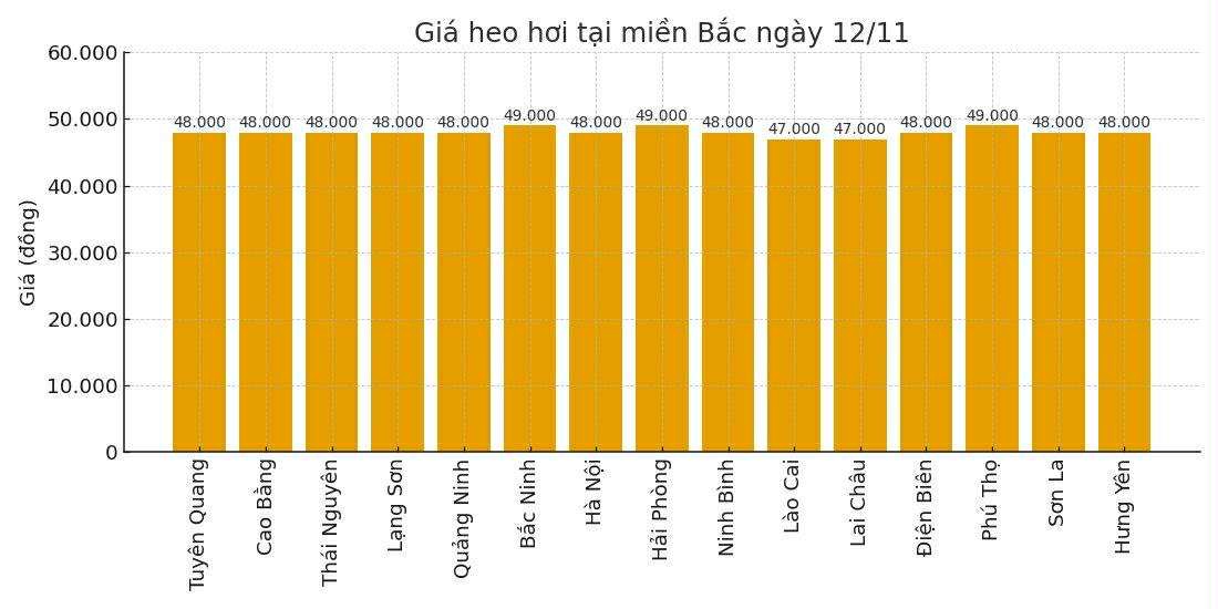 Gia heo hoi hom nay 12.11 tai khu vuc mien Bac. Do hoa: Thuy Linh
