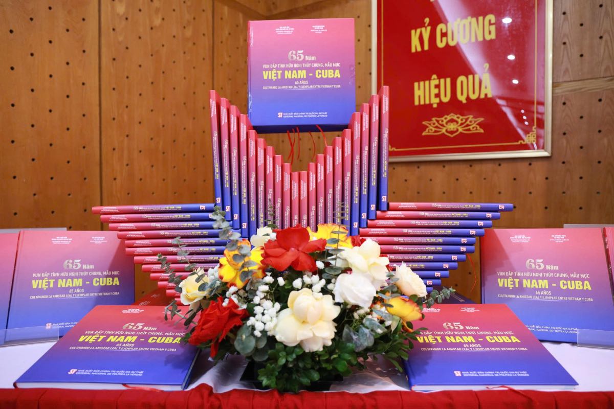 Cuon sach co dung luong hon 200 trang sach kho lon. Anh: Huong Nha