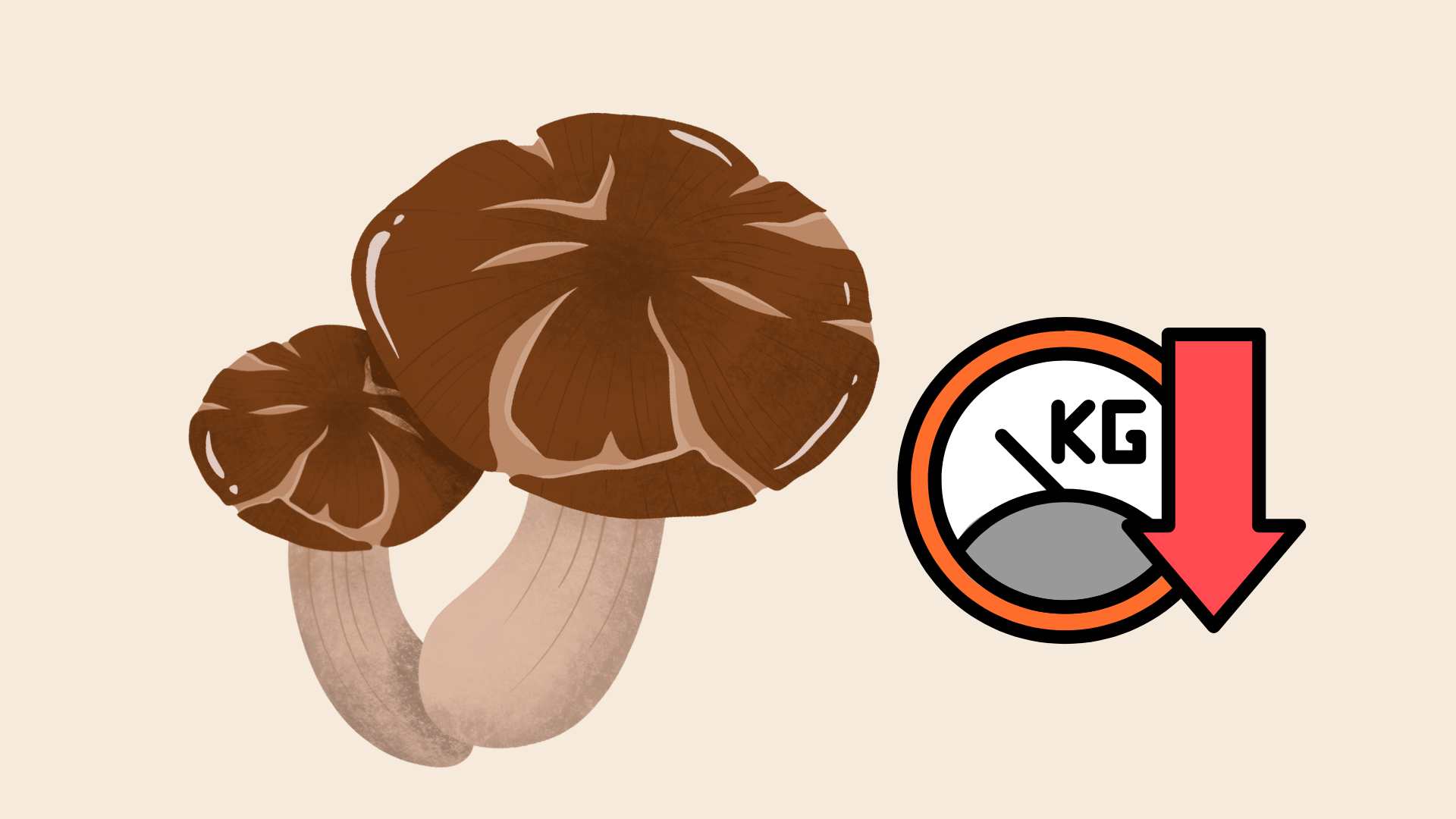 Coriander is low in calories but rich in fiber, helping to create a feeling of fullness for a long time, helping to lose weight effectively. Graphic photo: Hoang Loc