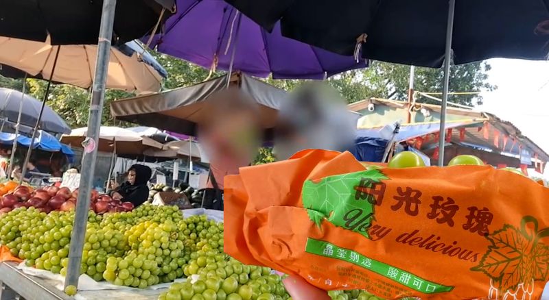 저렴한 수입 과일이 하노이 도매 시장을 에워싸고 있으며 소규모 상인들이 상품 수입 경로를 공개했습니다.