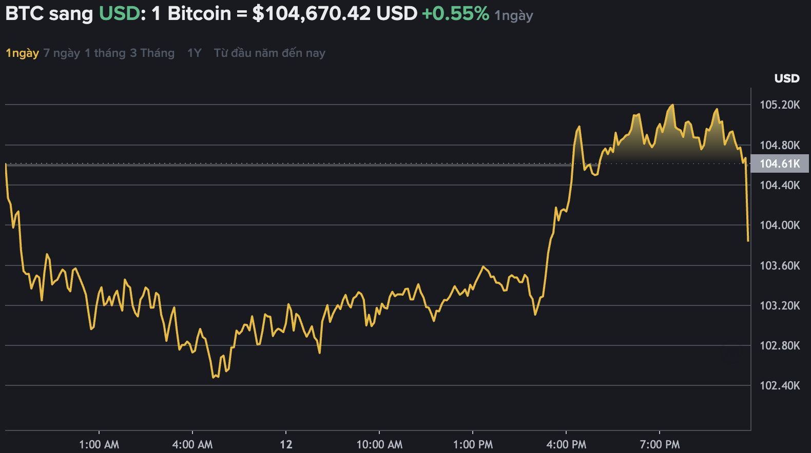 Du lieu tren Binance - san giao dich tien ma hoa lon nhat the gioi cho thay Bitcoin khong ngung bien dong, dat moc 103.000 USD. Nguon: Binance.com 