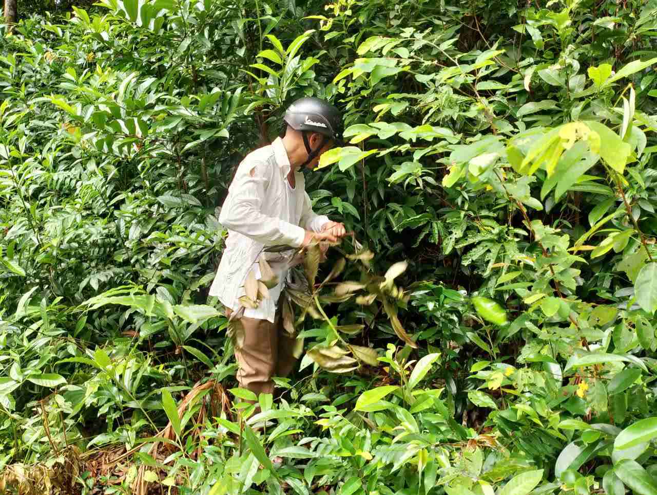 “Co thua kien” lan tim bui ram de chung minh noi tung dat cot moc ranh cua VQG Phu Quoc, Dac khu Phu Quoc, tinh An Giang. Anh: Nhom PV