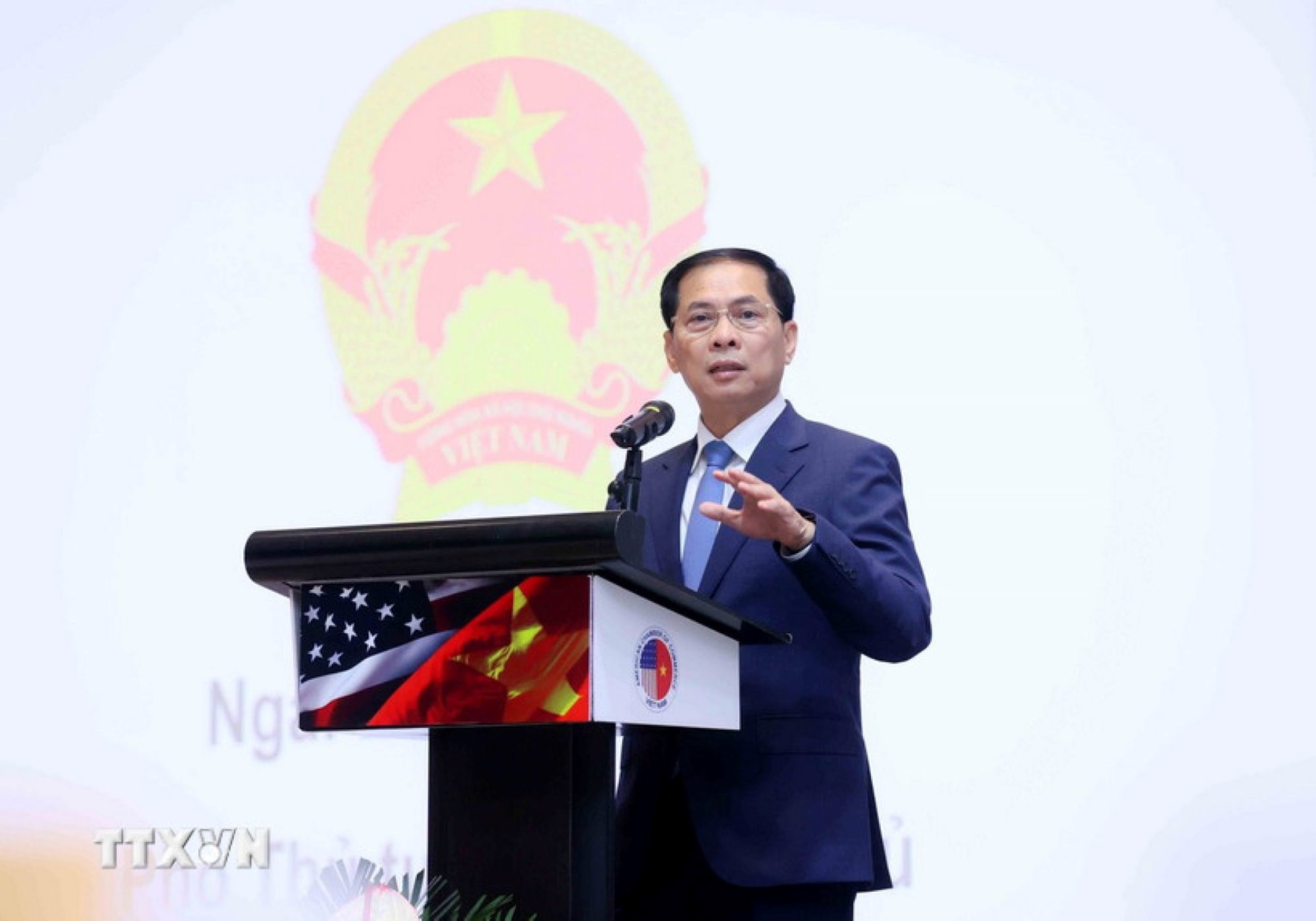 Member of the Party Central Committee, Deputy Prime Minister Bui Thanh Son spoke at the Vietnam - US Business Summit. Photo: VNA