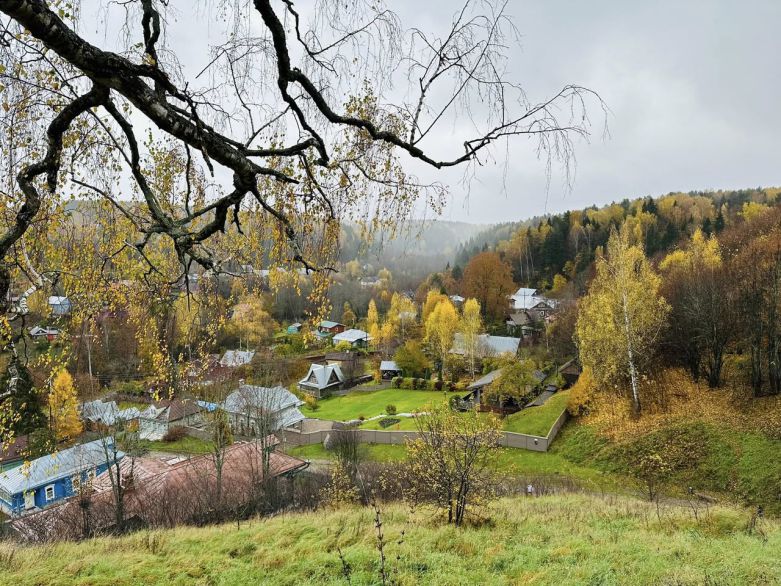 백야의 나라의 황금빛 가을. 사진: Fiona Nguyen