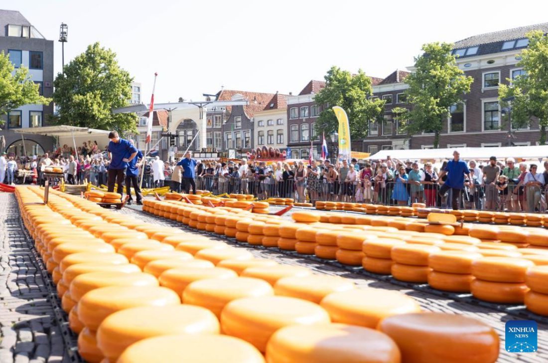 Today, Gouda cheese is still made using traditional manual methods. Photo: Xinhua