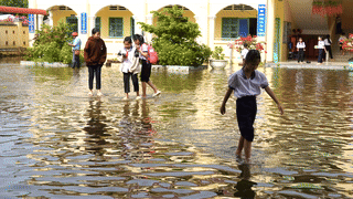 For more than a month now, the school yard of My Phuoc A Primary School, My Phuoc Commune (Can Tho City) has been flooded.
