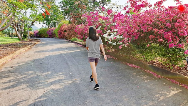 Regular walking improves health. Photo: Huong Son