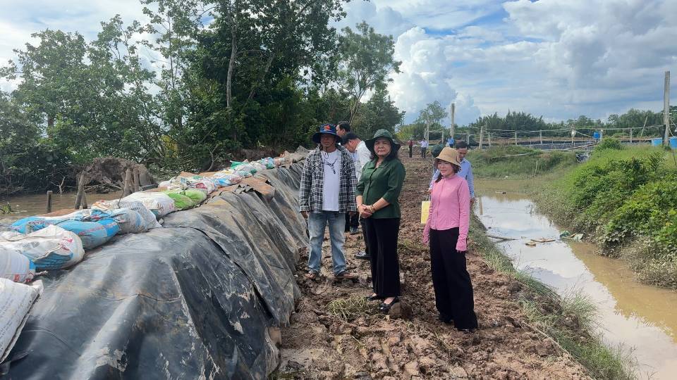 The People's Committee of Vinh Long province has allocated 11 billion VND to build an emergency project to overcome the landslide on the coast of Giong Ban. Photo: Hoang Loc