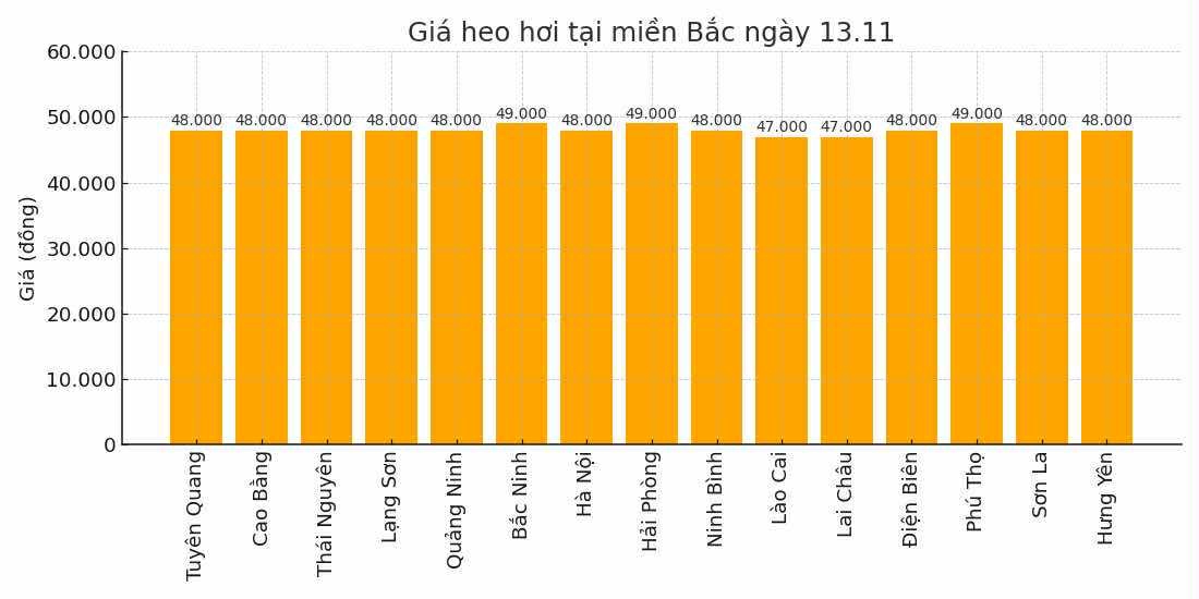 Gia heo hoi hom nay 13.11 tai khu vuc mien Bac. Do hoa: Thuy Linh