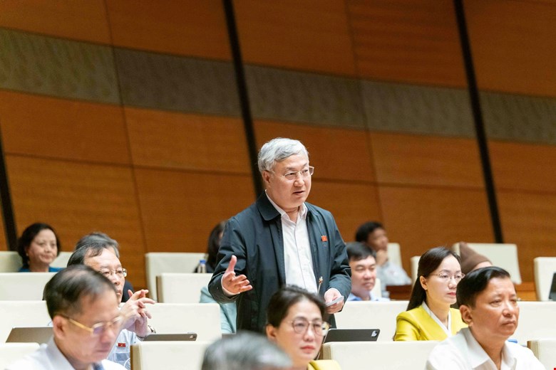 Dai bieu Quoc hoi Tran Van Lam phat bieu. Anh: Quochoi.vn