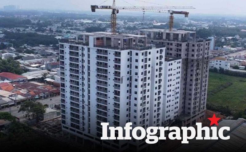 Khám Phá Tổ Ong Khổng Lồ Trong Căn Hộ Ở Hàng Châu