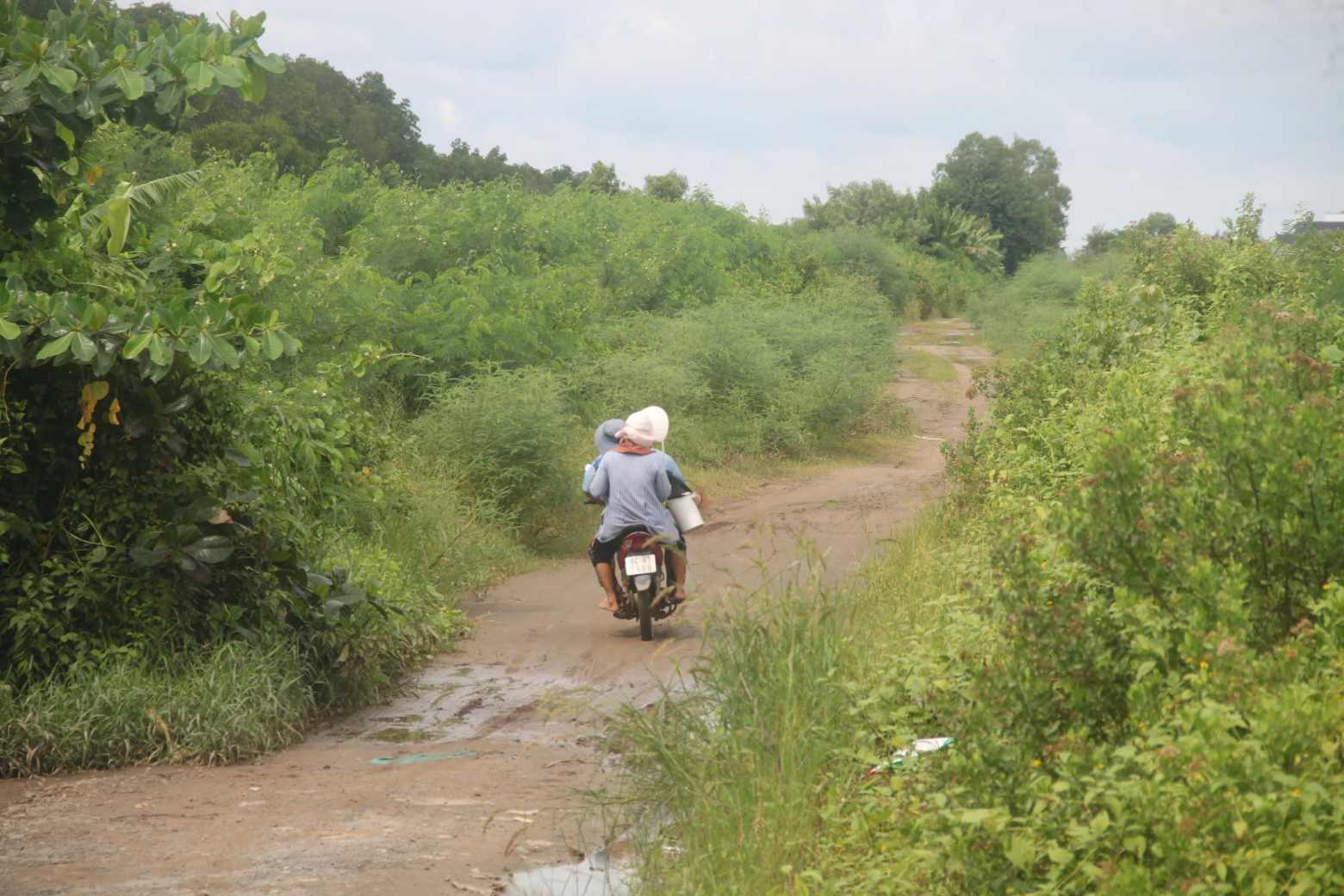 Hien trang Du an Du an xay dung, nang cap de bien Dong cap bach chong bien doi khi hau tinh Bac Lieu - doan tu kenh Muong 1 den kenh Huyen Ke. Anh: Nhat Ho