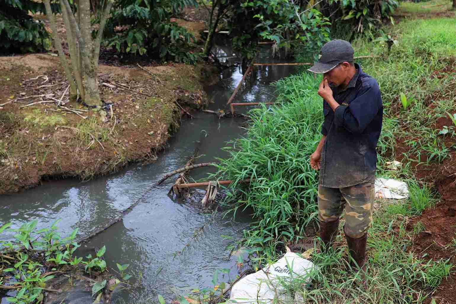 Trại chăn nuôi heo gây ô nhiễm môi trường tại Lâm Đồng bị đề xuất xử phạt 229 triệu đồng. Ảnh: Phúc Khánh