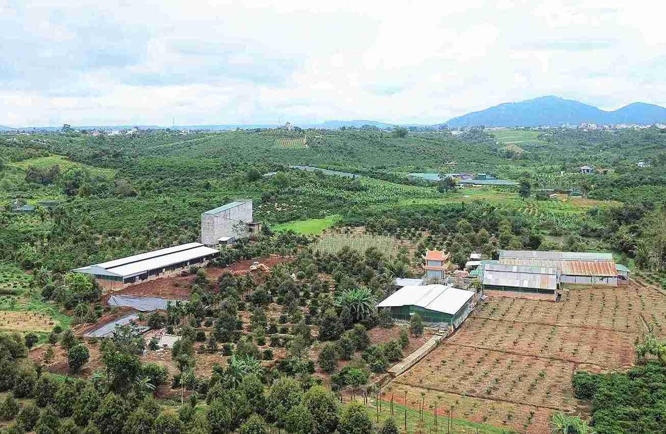 Sau phản ánh của Báo Lao Động, chủ trại heo gây ô nhiễm bị đề xuất xử phạt 229 triệu đồng