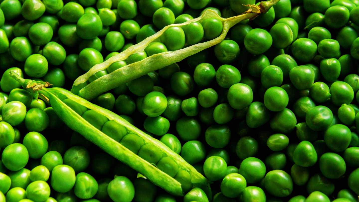 Peas are a source of nutritious plant protein but contain natural purines, which should be eaten in moderation to control uric acid levels and prevent gout. Photo: Canva