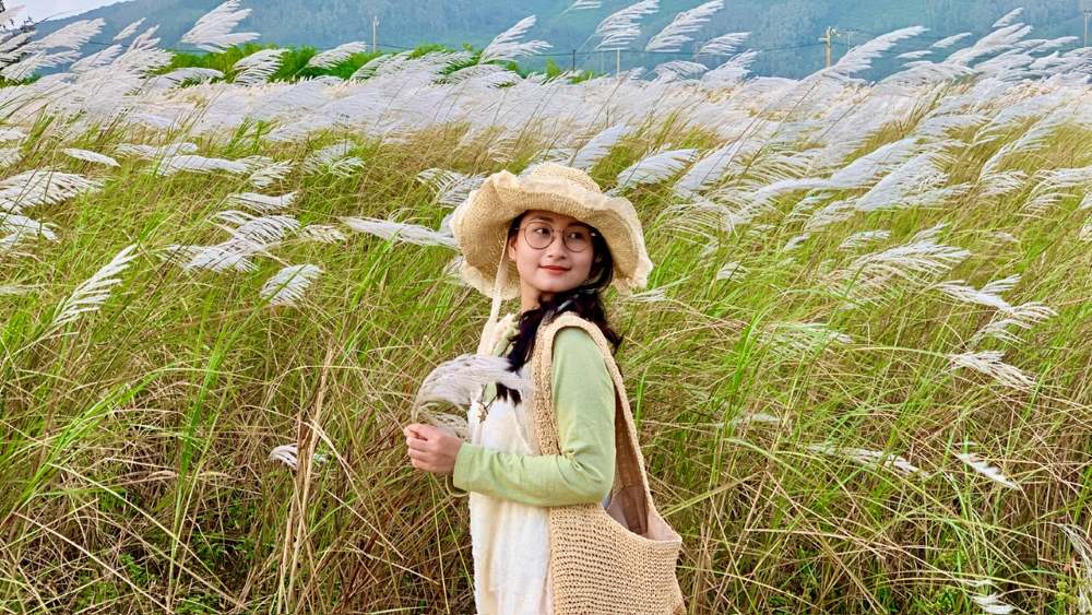 폭풍우가 지나간 후 다낭의 갈대밭에 갈대가 만발하여 사람들과 관광객들이 체크인을 위해 몰려들었습니다. 사진: Thanh Huyen