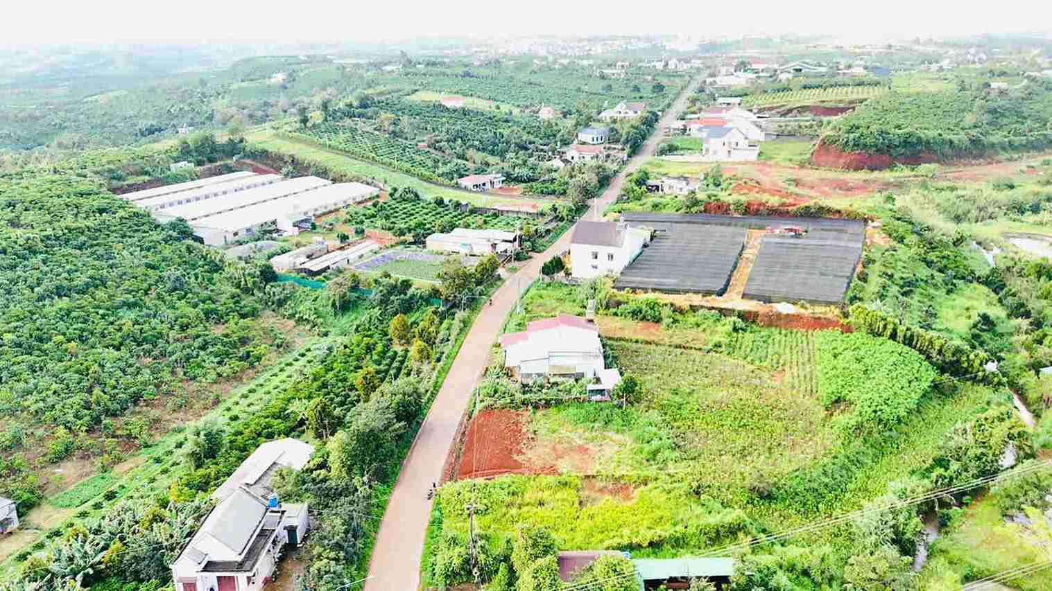 Hoat dong kinh doanh bat dong san tren dia ban tinh Lam Dong dang dien bien phuc tap. Anh: Phuc Khanh